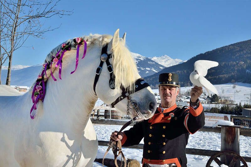 Eine Brieftaube und ein weißes Pferd mit Fritz Ehrensperger