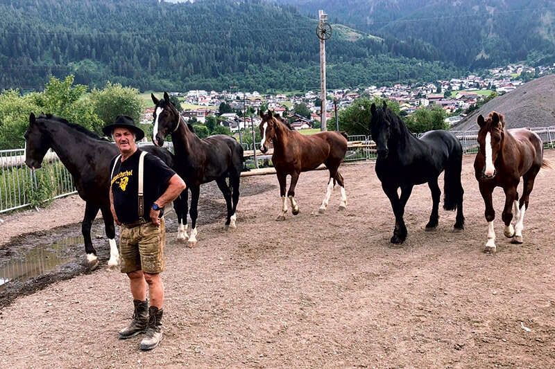 Horses with Fred at the Postkutscherhof in Axams Tyrol